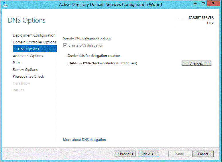 หน้า DNS Options สำหรับสร้าง DNS delegation ใน parent zone